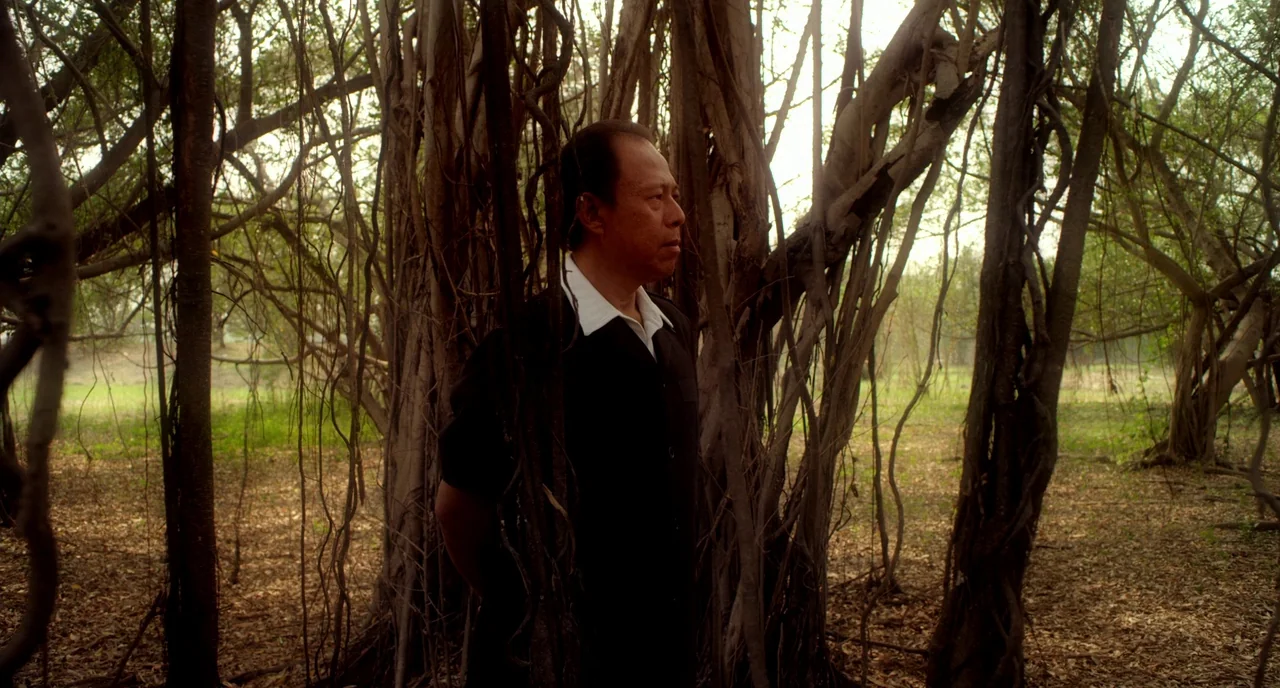 Only God Forgives (2013) movie still: medium — A dense grove of banyan trees with hanging aerial roots fills the frame. An older man stands among…