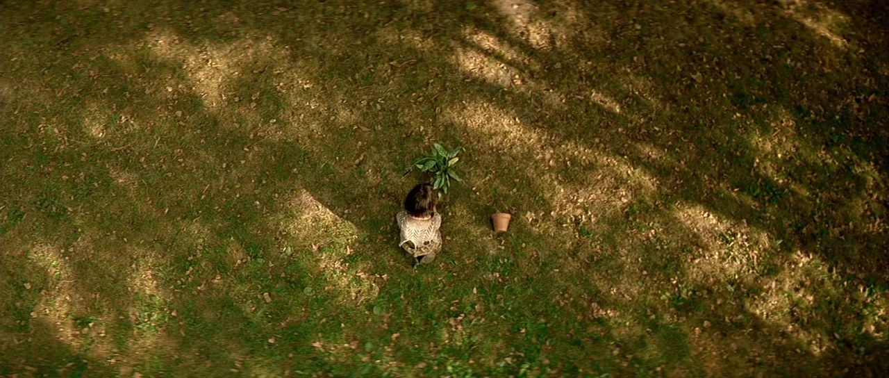 Léon: The Professional movie still: wide — A patch of dappled grassy ground covered in patches of shade and sunlight. A young child wearing a…