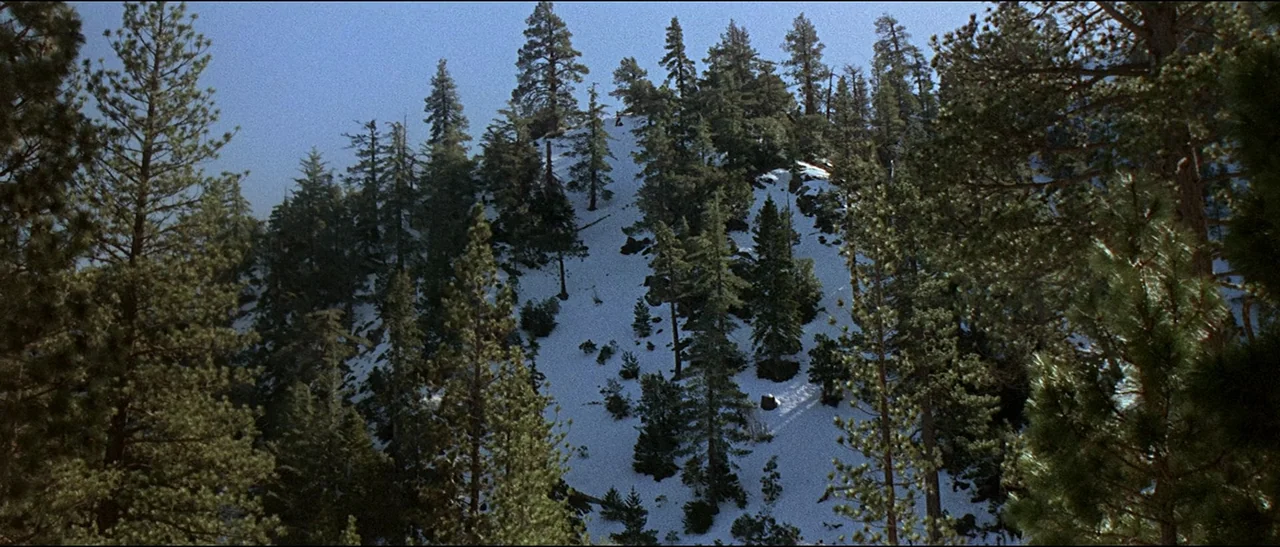 The Appaloosa (1966) movie still: establishing — A steep mountainside is covered in a mixture of patches of snow and evergreen trees. Numerous pine…