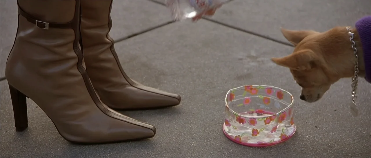 Legally Blonde (2001) movie still: medium — A person wearing tan leather boots stands on a grey concrete surface. A small dog approaches a clear…