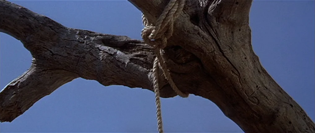 The Good, The Bad And The Ugly (1966) movie still: closeup — A thick, textured tree branch extends across the frame against a clear blue sky. A…