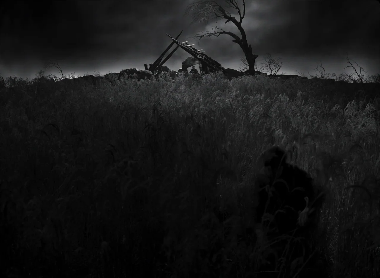 The Tragedy of Macbeth (2021) movie still: wide — A vast expanse of tall, dark grass stretches toward a collapsed wooden hut silhouette. A single…