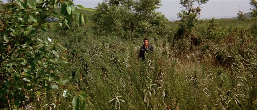 Lone Wolf and Cub: Baby Cart to Hades (1972) movie still: wide — An expanse of tall wild brush and weeds fills the frame during the day. A solitary…