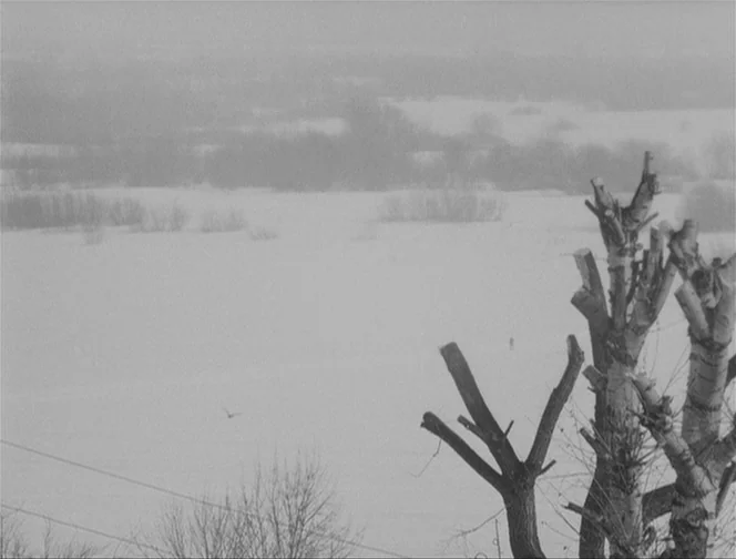 The Ascent (1977) movie still: wide — A vast, snow-covered landscape stretches toward a foggy, distant horizon under heavy clouds. A large, pruned…