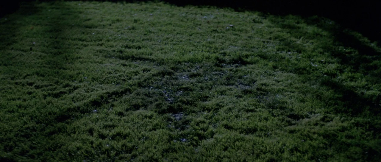 Halloween II (1981) movie still: establishing — A dark patch of unkempt grass is captured under dim, nighttime lighting conditions. The ground…