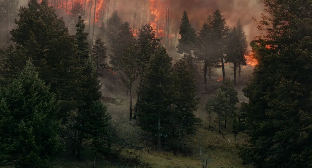 Wildlife (2018) movie still: establishing — A dense coniferous woodland is enveloped by thick gray smoke and active flames. Intense orange fire…