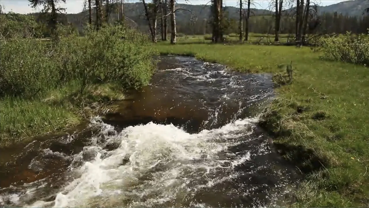 Idaho: The Movie (2012) movie still: wide — A rocky mountain stream winds through a grassy meadow bordered by evergreen trees. Rapid water flows…