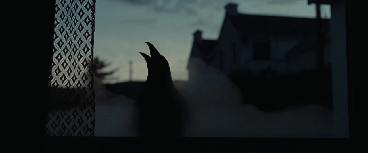 God’s Creatures (2022) movie still: closeup — A silhouette of a bird sits perched on a ledge outside a window. The dim twilight reveals the distant…