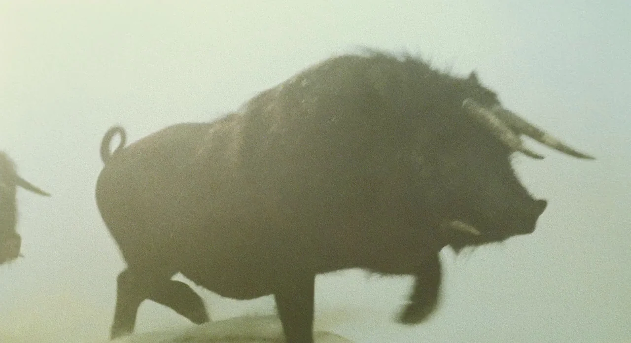 Beasts Of The Southern Wild (2012) movie still: fullbody — A dark, heavy bull moves through a dense, fog-filled open field. The environment is…