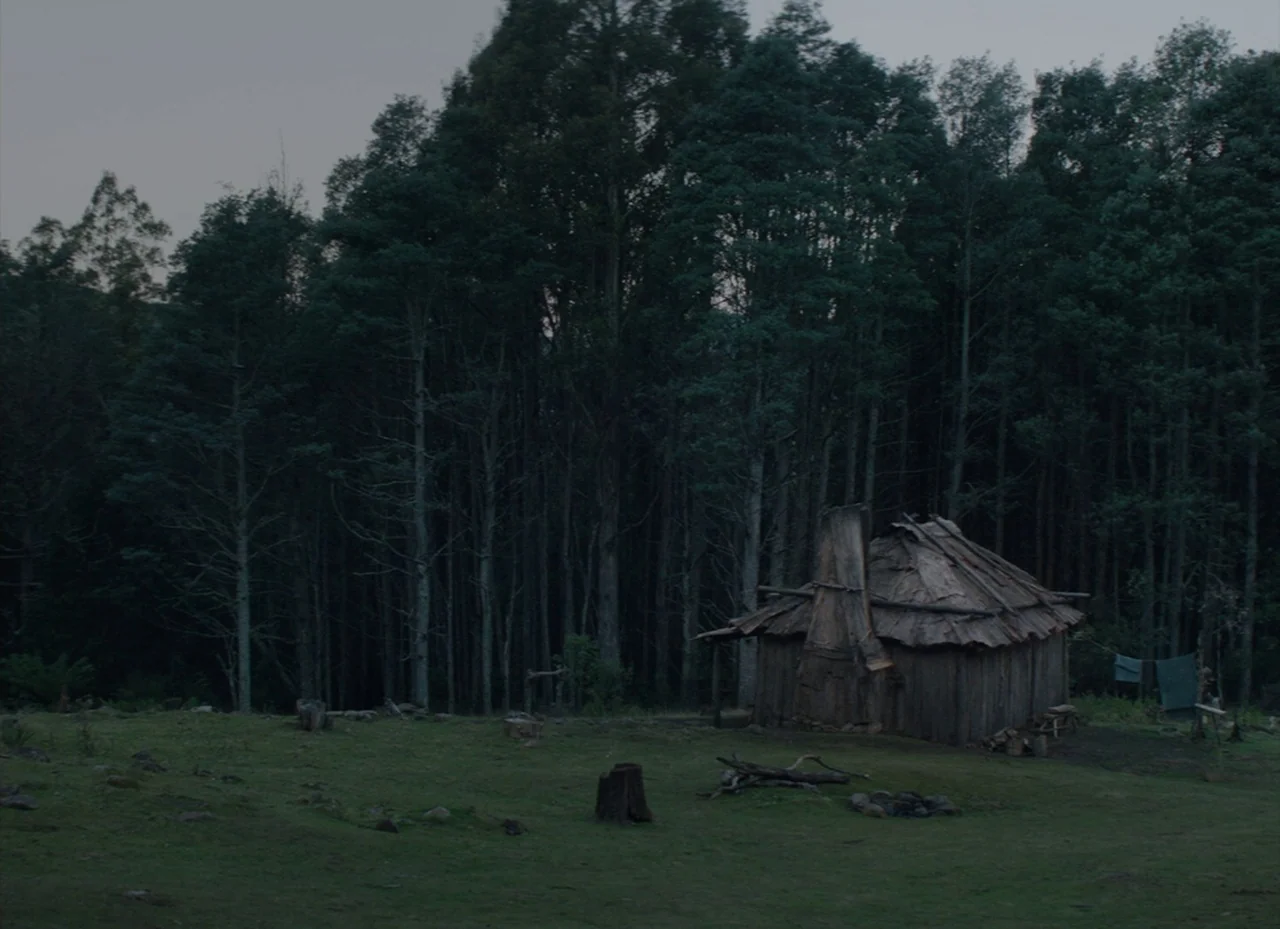 The Nightingale (2018) movie still: wide — A small wooden cabin with a rustic timber roof sits in a grassy clearing. A dense forest of tall pine…