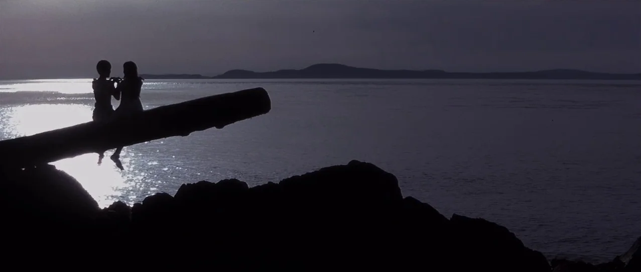 Snow Falling on Cedars (1999) movie still: wide — A rocky shoreline edge meets a large body of water during the late evening. Two figures sit on a…