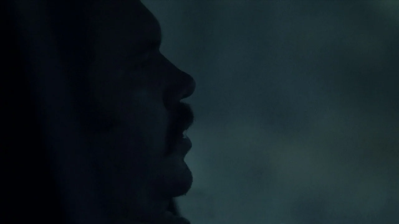 A Horrible Way To Die (2010) movie still: closeup — The interior of a vehicle at night with minimal light. A man's face is seen in silhouette…