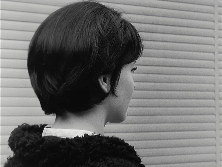 Vivre Sa Vie (1962) movie still: closeup — A close view of a woman with short dark hair standing before horizontal blinds. She is positioned in…