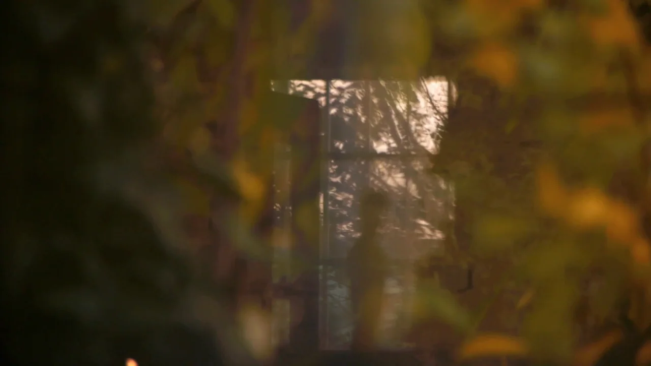 Counting (2015) movie still: wide — A window pane reflects surrounding trees and light during the golden hour sunset period. The foreground is…