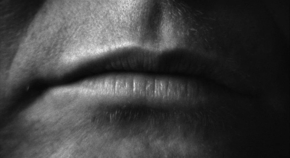 Lenny (1974) movie still: closeup — An extreme close-up of a human mouth and chin in sharp focus. The skin surface is detailed with texture and fine…