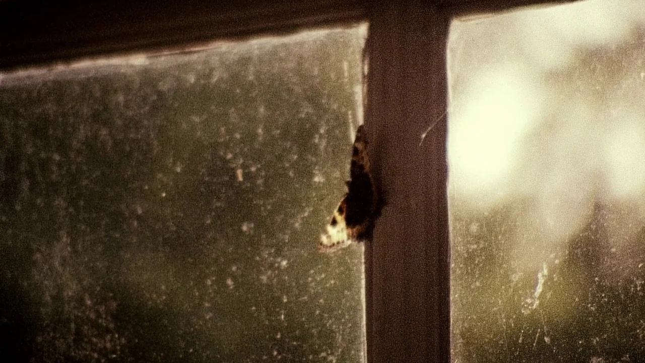 Everlasting Moments (2008) movie still: closeup — A dusty, multi-pane window frame separates dark interior space from a bright exterior. A small…
