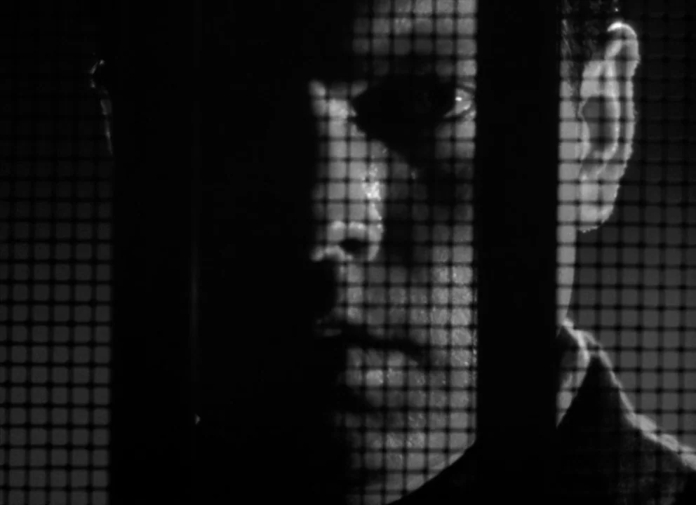 The Lady from Shanghai (1947) movie still: closeup — A dark, cramped space defined by vertical metal bars casting shadows. A man stares forward from…