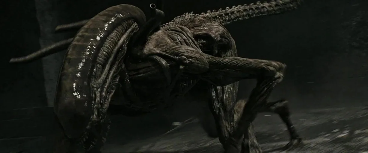 Alien: Covenant (2017) movie still: medium — A dark, dimly lit corridor inside an alien vessel with metallic floor surfaces. An quadrupedal alien…