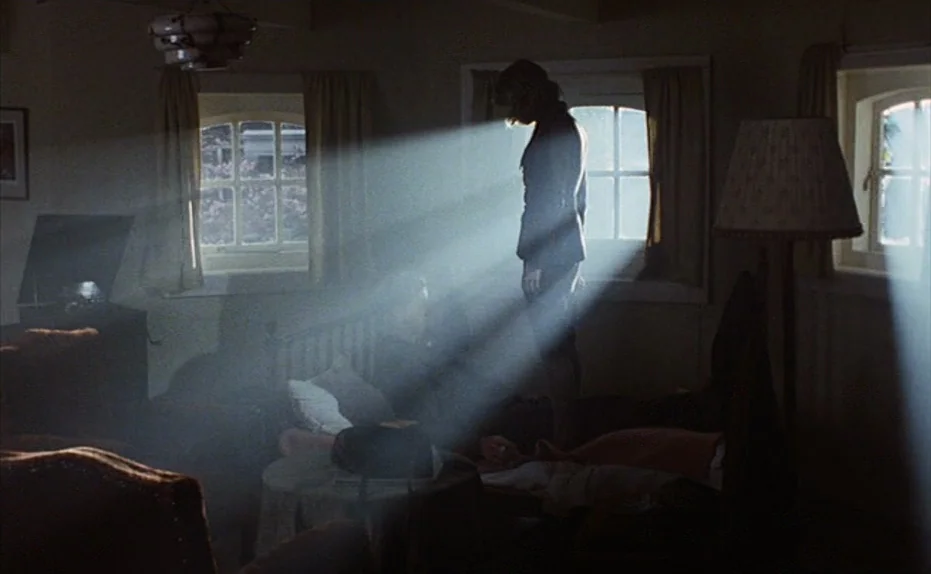 Soldier of Orange (1977) movie still: medium — A dimly lit room with heavy curtains and a floor lamp creates high contrast silhouettes. A woman…