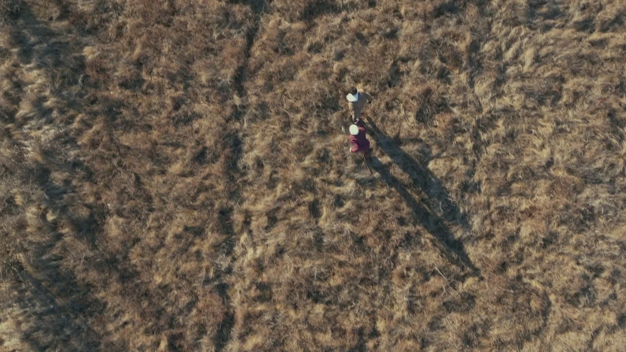 Helll Hole (2024) movie still: wide — A vast field covered in dry, brown vegetation under bright sunlight. Two figures walk across the uneven,…