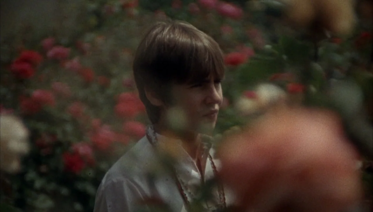 Head (1968) movie still: medium — A dense patch of flowering rose bushes surrounds a person. A young person stands still among the vegetation.
