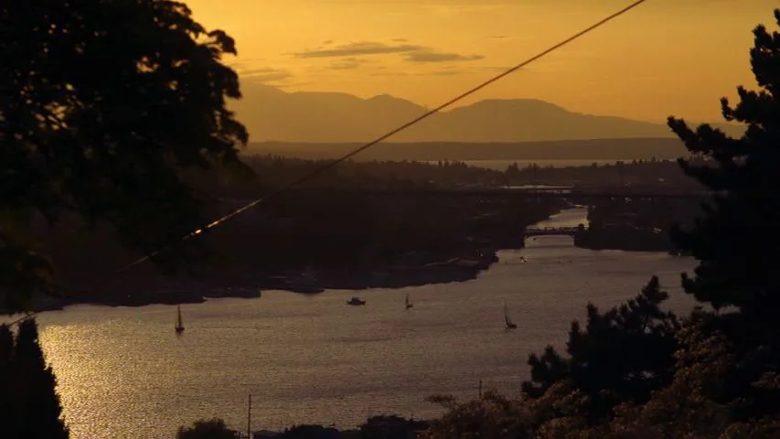 Touchy Feely (2013) movie still: establishing — A wide view shows a calm river or lake surrounded by treelined banks. Several small sailboats and…
