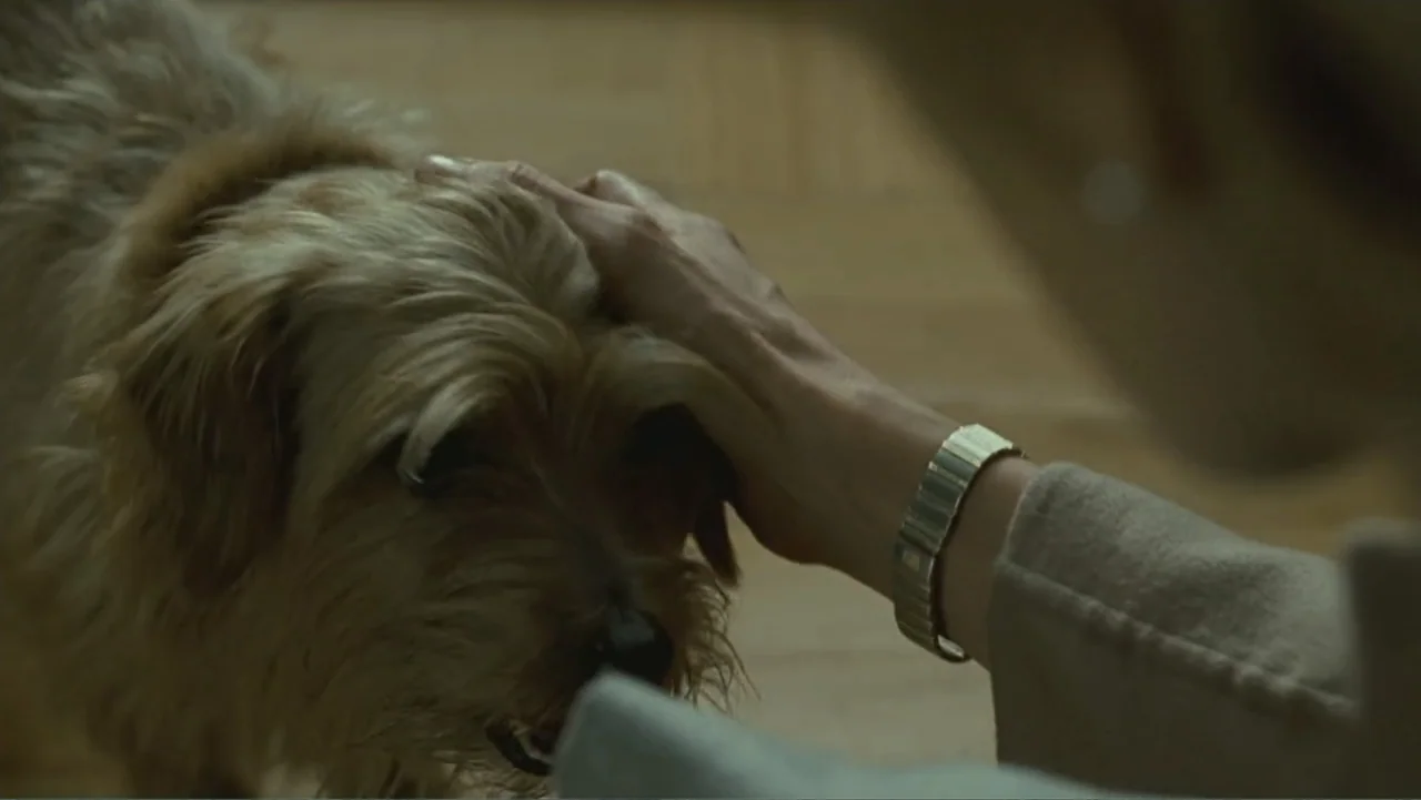 Salt (2010) movie still: closeup — A close view shows a person's hand resting on the head of a small dog. The dog is positioned to the left while…
