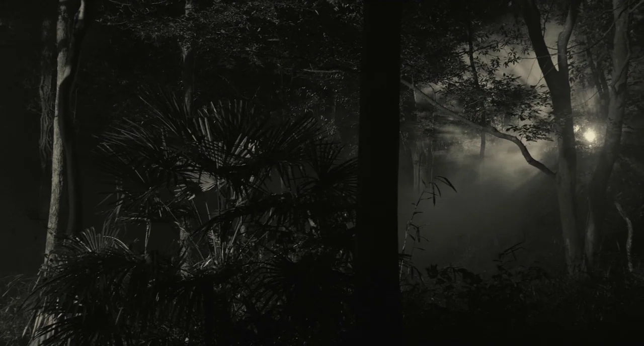 The Whispering Star (2015) movie still: establishing — A dark jungle environment filled with thick mist and silhouettes of various tropical plants.…