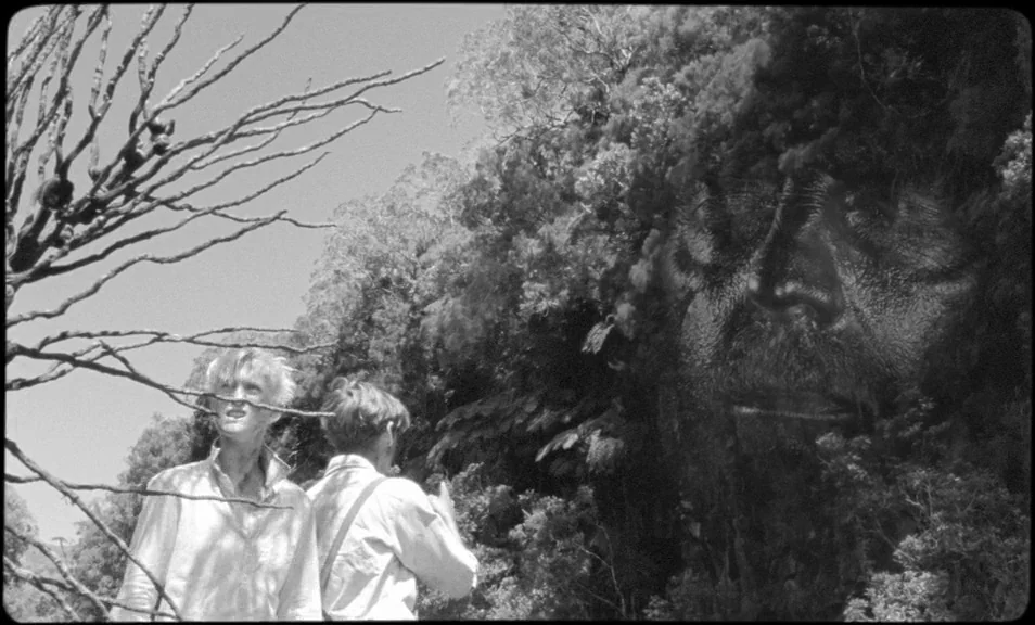 The Wild Boys (2017) movie still: medium — A clearing in a dense forest features a large human face formed in foliage. Two young men stand in the…
