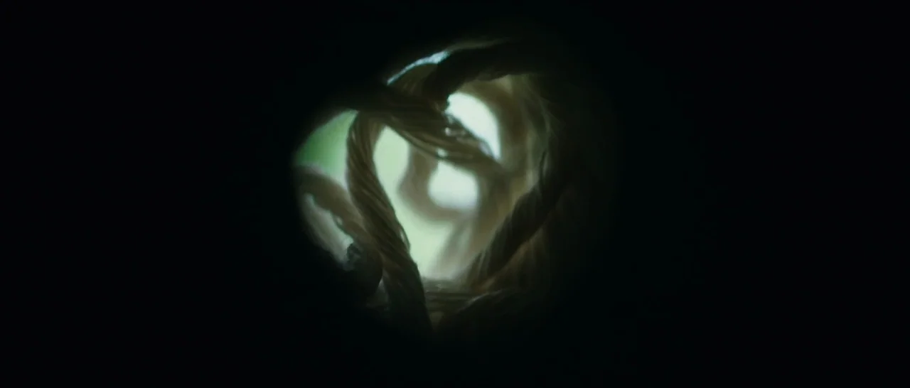 The Sea of Trees (2015) movie still: closeup — A close-up view looks through the narrow, dark bore of a cylindrical tube. Tightly twisted…