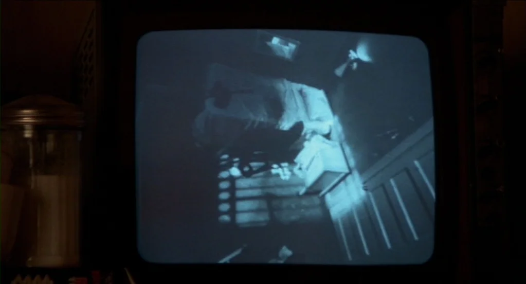 Cat People (1982) movie still: closeup — A dark, low-resolution television monitor displays a grainy monochrome security camera feed. The feed shows…