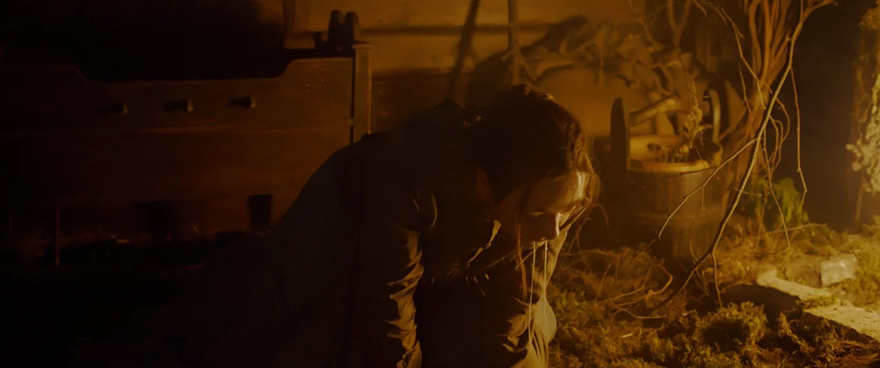 Hagazussa (2017) movie still: medium — A rustic, dimly lit interior space features earthen floors, bare tree branches, and wooden furniture. A lone…