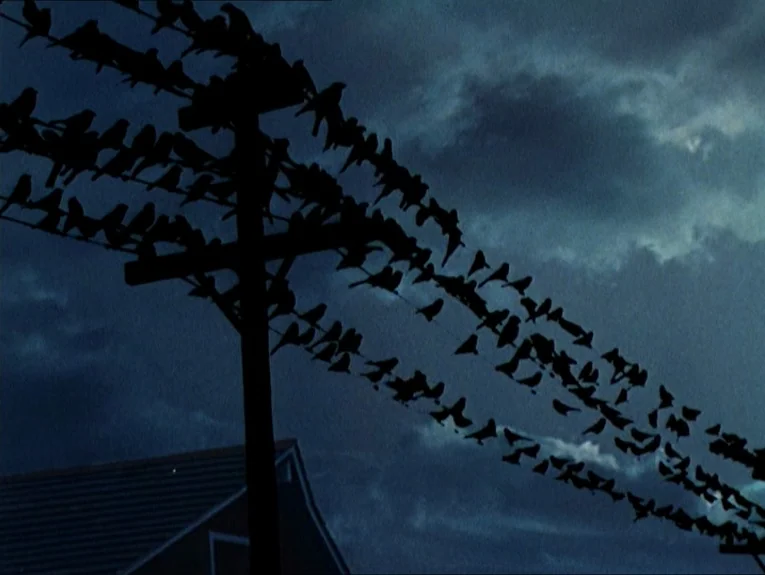 The Birds movie still: wide — A dark, cloudy sky hangs over a wooden power pole with several electrical wires. A dense swarm of black birds rests…