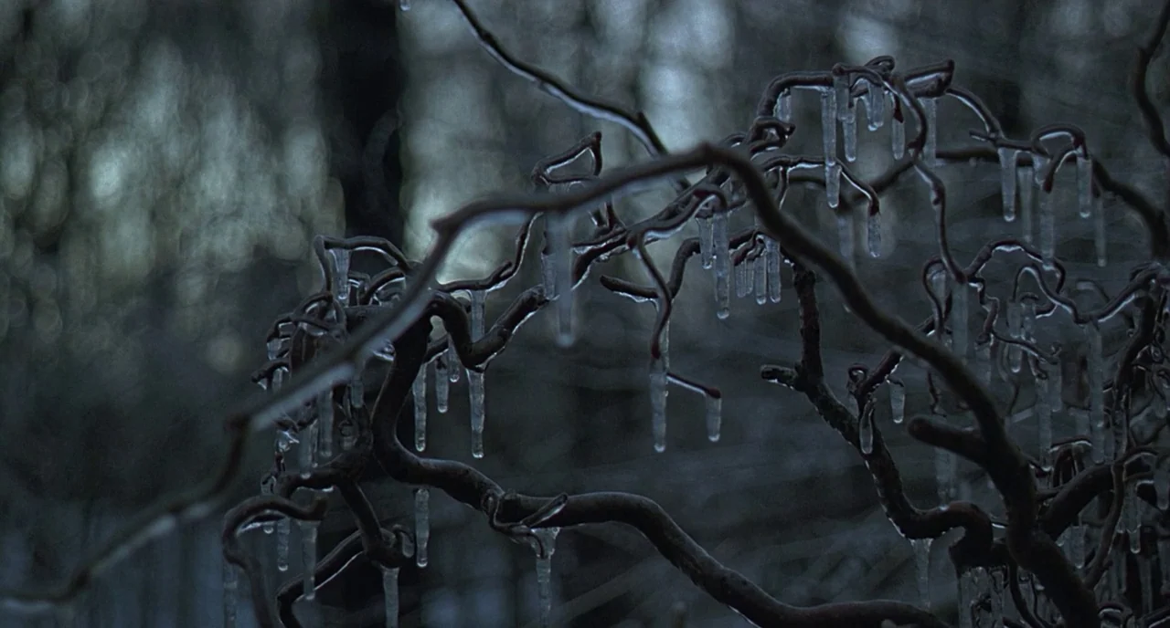 The Ice Storm (1997) movie still: closeup — Twisting, dark tree branches are coated in a layer of frozen ice and icicles. The background is a soft,…