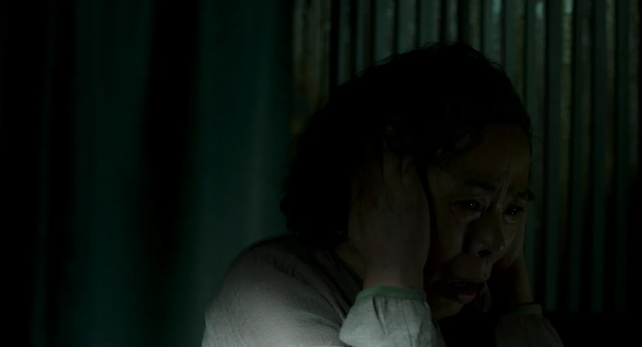 The Mimic (2017) movie still: closeup — A dimly lit room with vertical blinds barely visible in the dark background. An elderly woman presses her…