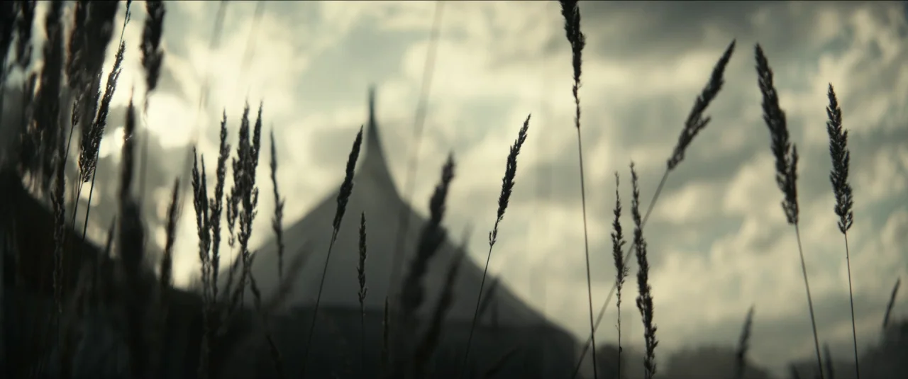 The King movie still: establishing — Tall, thin grasses grow in a field under a cloudy, overcast daytime sky. In the blurred background, the pointed…