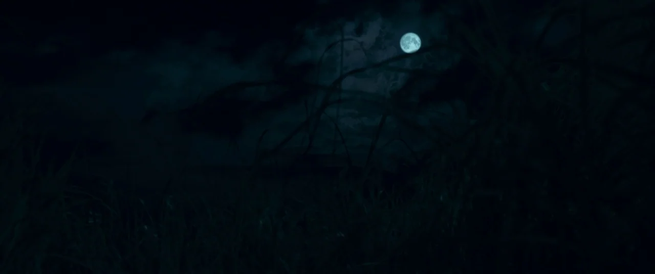 In The Tall Grass (2019) movie still: establishing — A dark, grassy field is silhouetted against a night sky under a full moon. Wispy clouds drift…