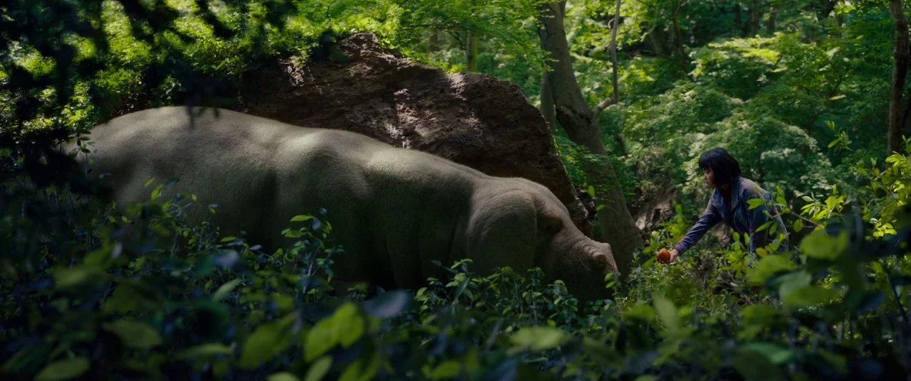 Okja (2017) movie still: wide — A dense forest environment features a large, hippopotamus-like creature resting beside a massive stone. A young…