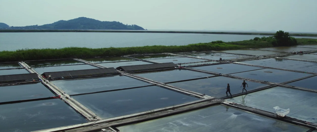 Believer (2018) movie still: wide — Expansive salt pans extend toward a distant coastline under a flat, overcast sky. Two small figures walk across…