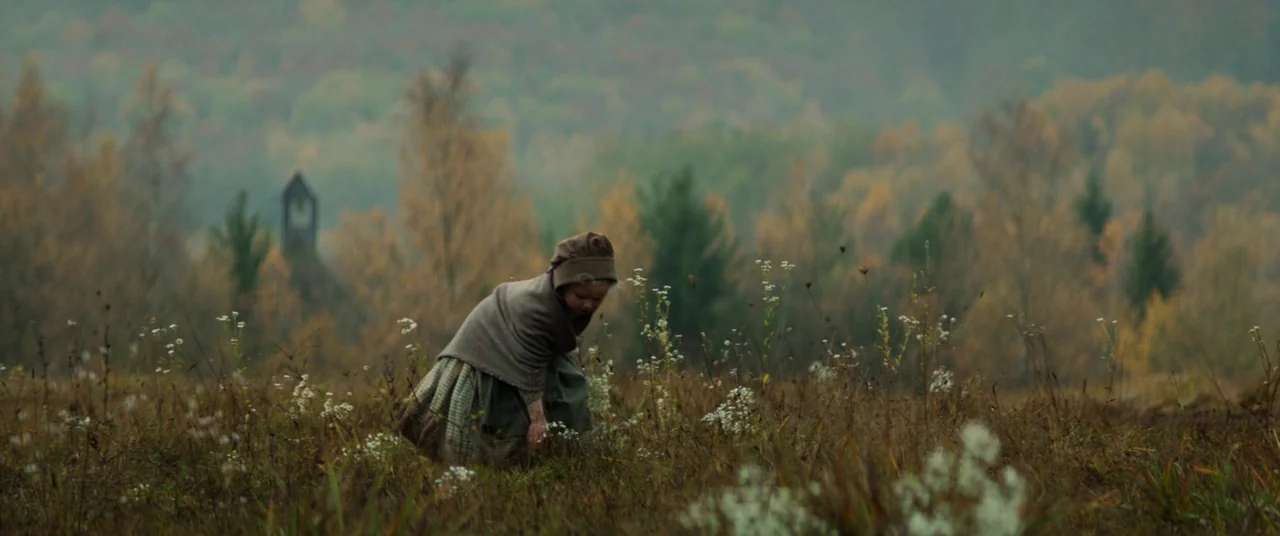 Never Grow Old (2019) movie still: wide — A desolate, overcast meadow contains dry grass, scattered white wildflowers, and distant autumnal trees. A…
