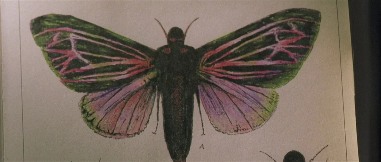 The Mothman Prophecies (2002) movie still: closeup — A close-up view shows a hand-drawn illustration of a large moth on paper. The drawing features…