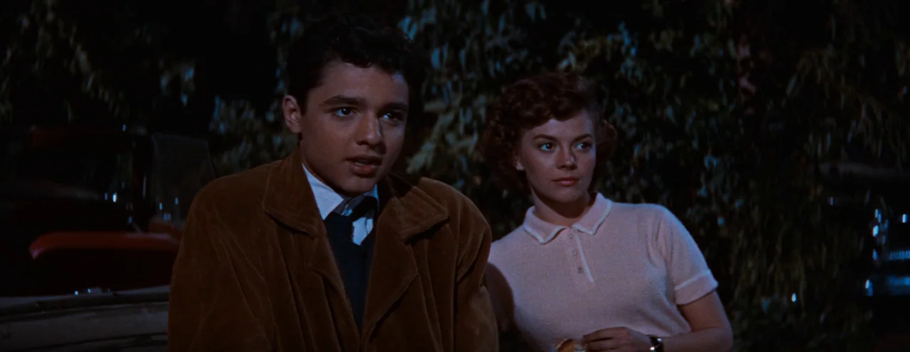 Rebel Without A Cause (1955) movie still: medium — A young couple sits outdoors at night in front of dark, blurry foliage. The boy speaks while the…