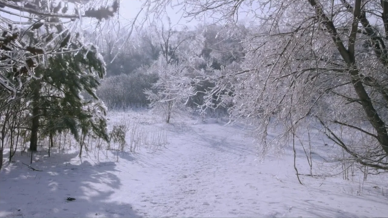 Christmas with a Prince (2018) movie still: wide — A snow-covered clearing in a forest features trees heavily coated in thick ice. The ground is…