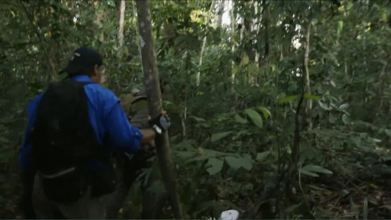 Finding Amelia (2024) movie still: medium — A dense rainforest with tall trees and thick undergrowth fills the frame. Two individuals hike through…