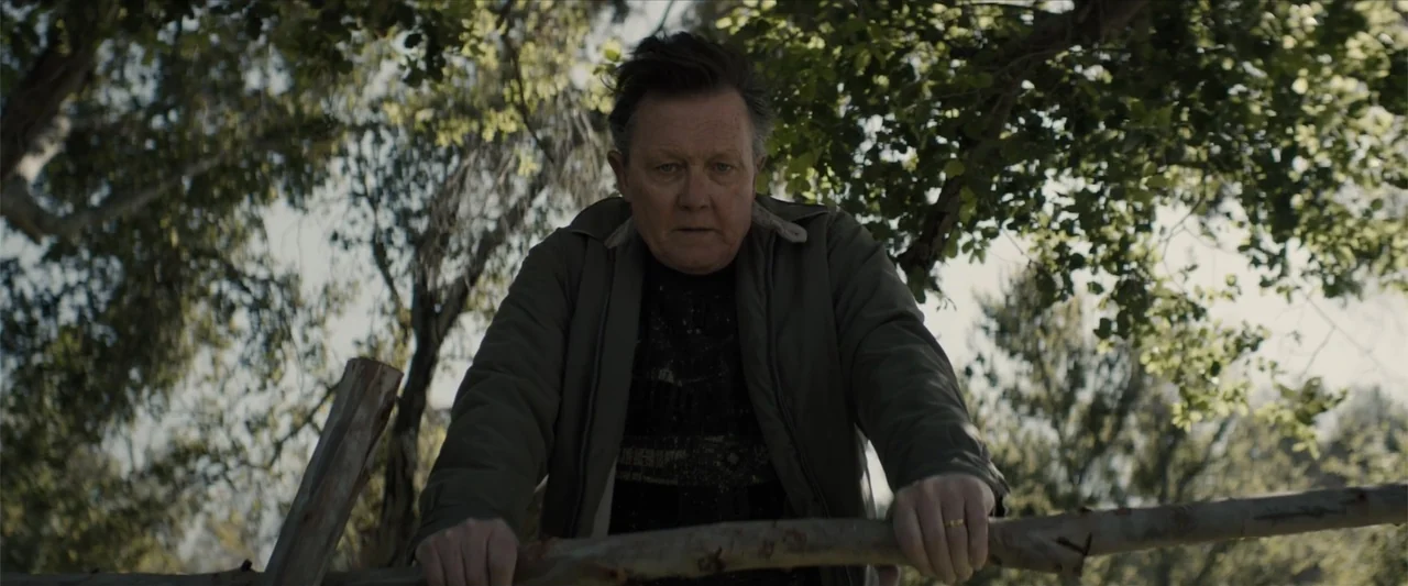 Equation of Love and Tone Deafness (2015) movie still: medium — A man stands outdoors by a weathered wooden rail fence with dense foliage behind…