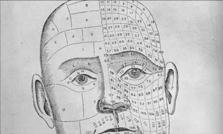 Pi (1998) movie still: closeup — An anatomical map of a human head drawn in black ink on paper. The face is divided into numerous sections labeled…