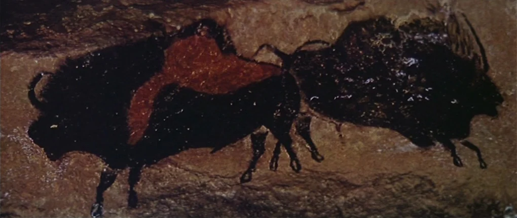Clan of the Cave Bear (1986) movie still: closeup — A textured rock wall inside an ancient cavern displays prehistoric cave art of bison. Two bison…