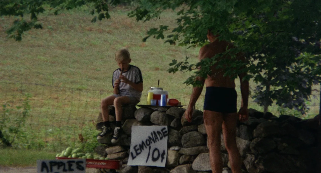 The Swimmer (1968) movie still: wide — A stone wall separates a grassy field from a country roadside path. A boy plays a flute atop the wall while…