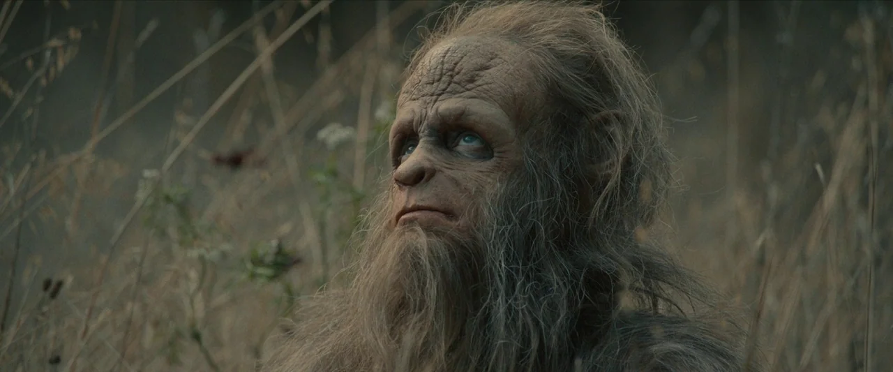 Sasquatch Sunset (2024) movie still: closeup — A figure with thick facial hair stands amidst dry, tall grasses in a field. The person looks upward…