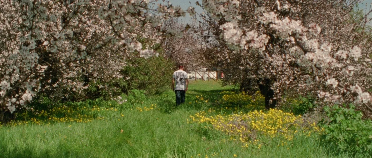 Arabian Nights: Volume 3 The Enchanted One (2015) movie still: wide — An orchard filled with rows of blooming white flower trees and yellow…